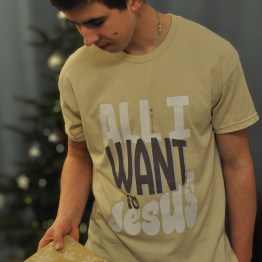 All I Want Is Jesus - Sand T-shirt (Unisex)